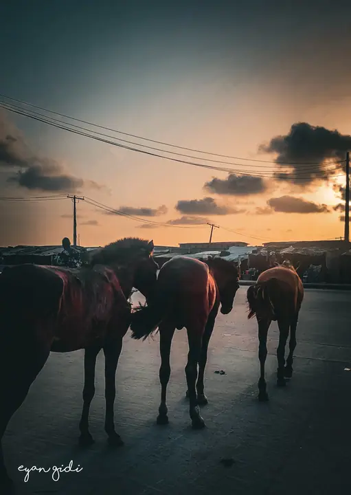 Lagos, 23 November 2023