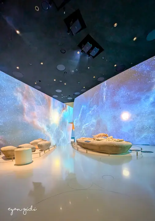 National Museum of Qatar, Doha, 27 June 2026