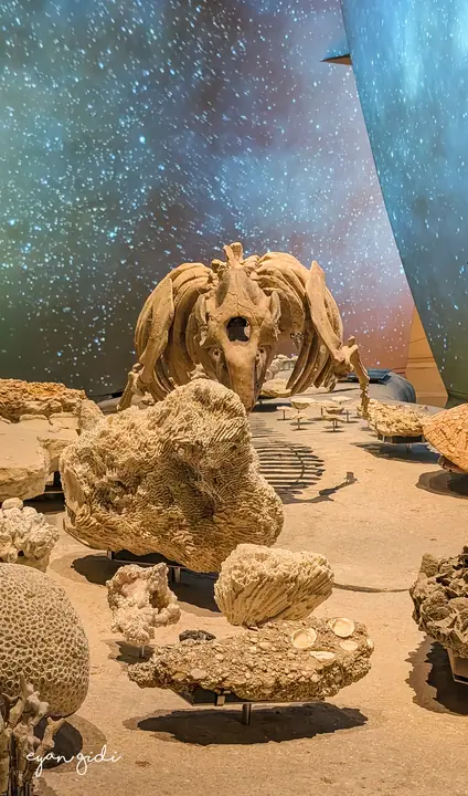 National Museum of Qatar, Doha, 27 June 2026