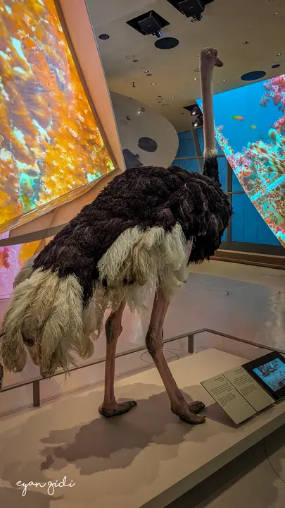 National Museum of Qatar, Doha, 27 June 2026
