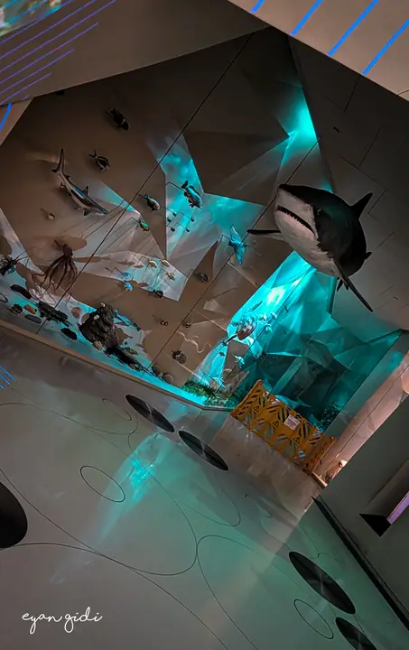 National Museum of Qatar, Doha, 27 June 2026
