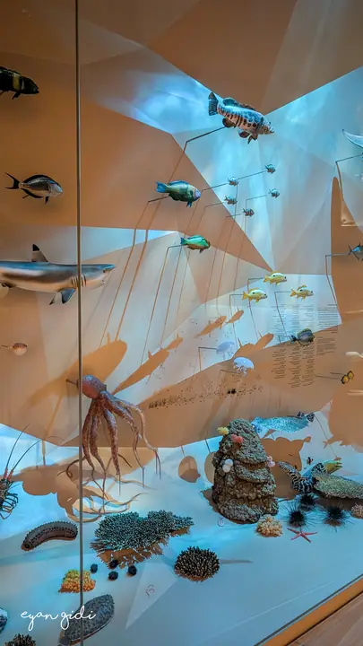 National Museum of Qatar, Doha, 27 June 2026