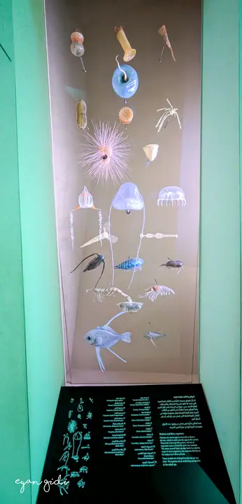National Museum of Qatar, Doha, 27 June 2026