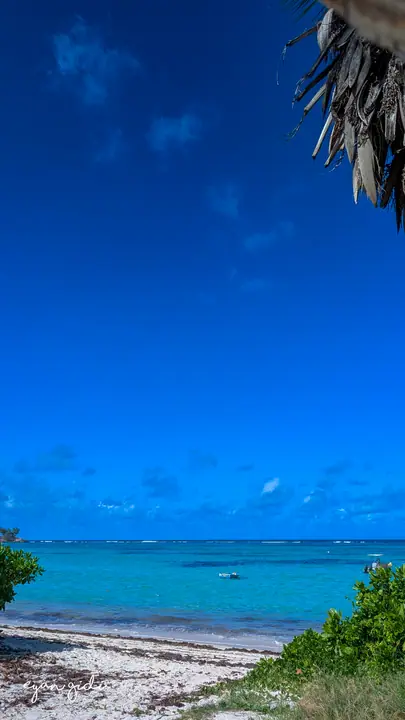 The coast, Seychelles, 1 July 2026