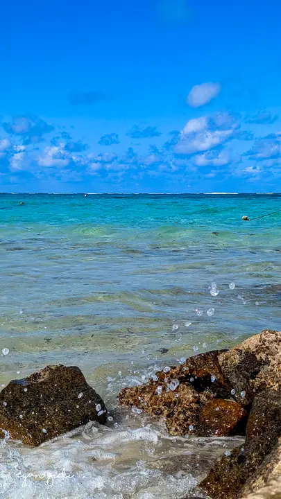 The coast, Seychelles, 1 July 2026