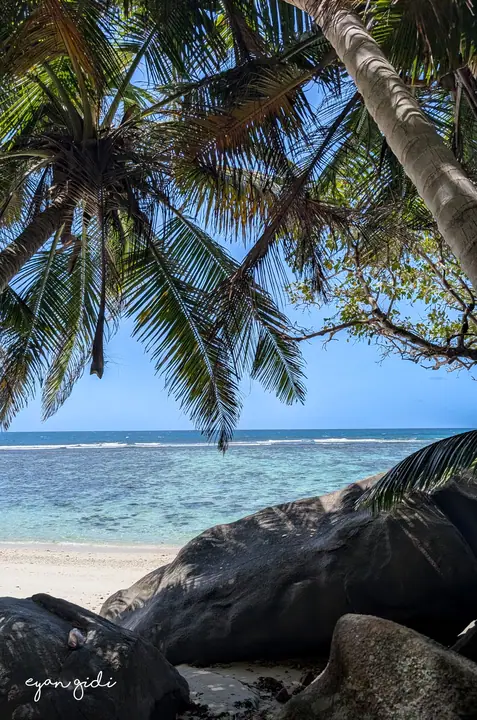 A day on the water, Seychelles, 2 July 2026