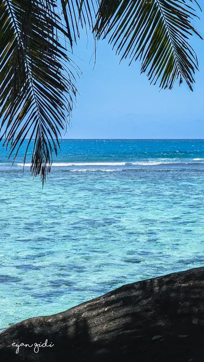 A day on the water, Seychelles, 2 July 2026