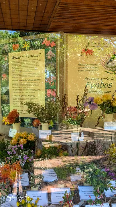 Kirstenbosch, Cape Town, 16 September 2026