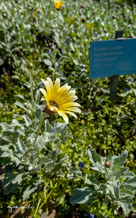 Kirstenbosch, Cape Town, 16 September 2026